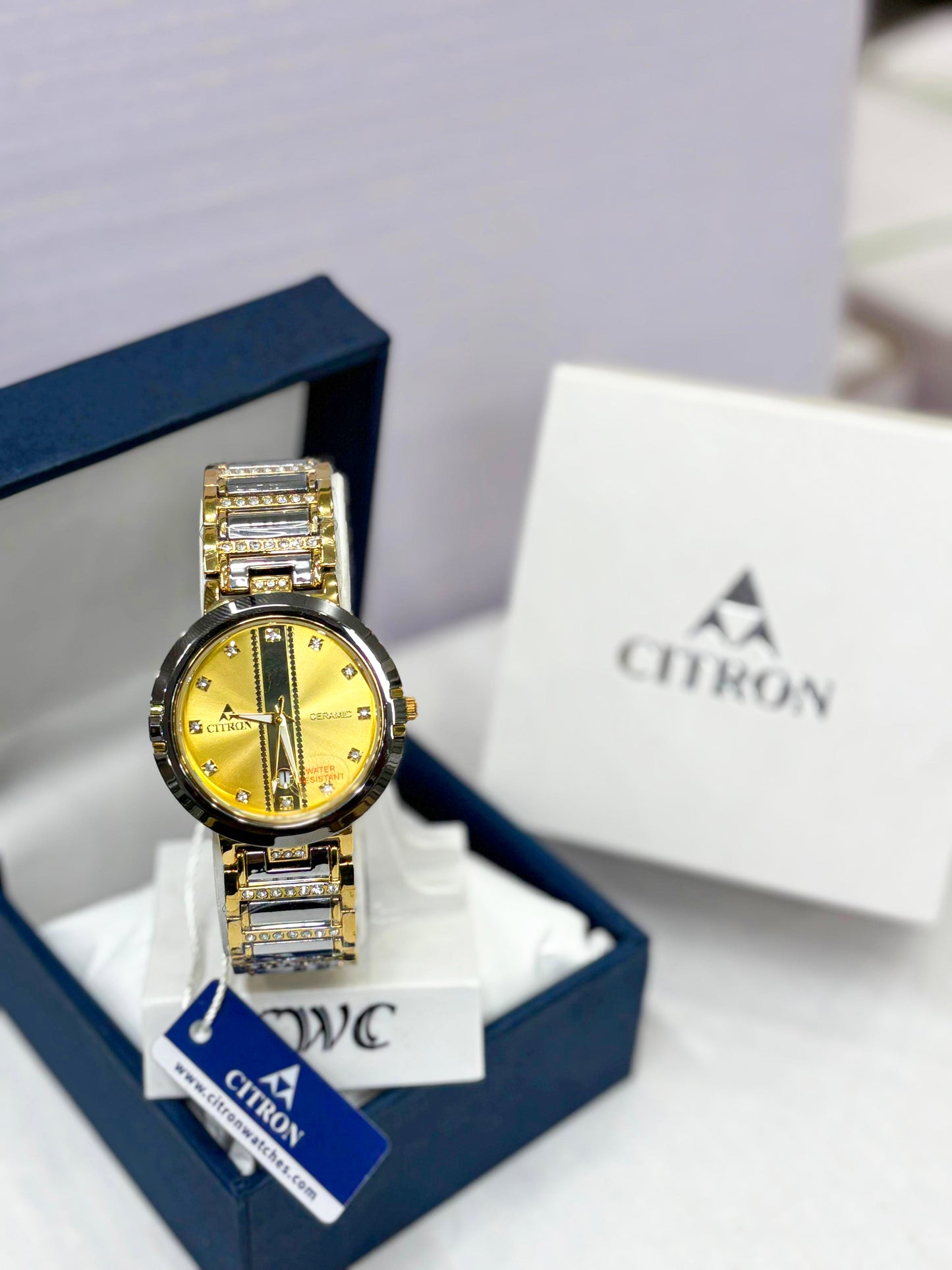 Citron Men’s Gold Stainless Steel Quartz Analog Watch with Diamond Markers & Date